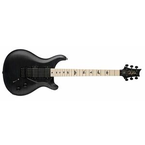 PRS Dustie Waring Gray Black Stained Binding kép