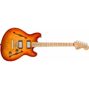 Fender Squier Affinity Starcaster Deluxe MN SSB kép