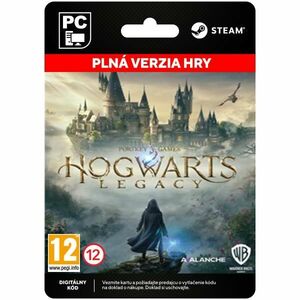 Hogwarts Legacy (PC) kép