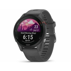 GARMIN Forerunner 255 Okosóra (010-02641-10) Slate Gray Szürke kép