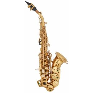 Bacio Instruments BSS-100C kép