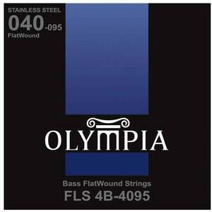 Olympia FLS4B-4095 Basszusgitár húr kép