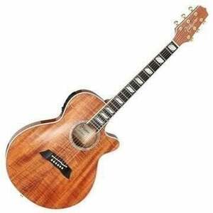 Takamine TSP178ACK-N Natural Elektroakusztikus gitár kép