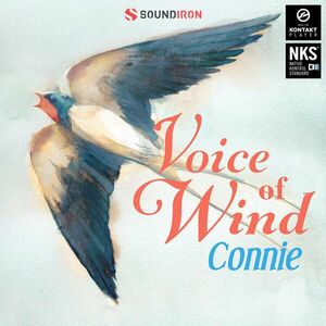 Soundiron Voice of Wind: Connie (Digitális termék) kép