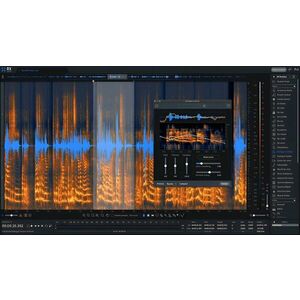 iZotope RX 11 Advanced (Digitális termék) kép