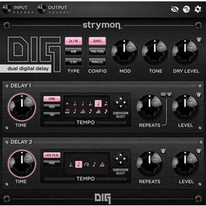 Strymon DIG (Digitális termék) kép