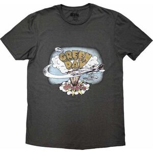 Green Day Ing Dookie Vintage Unisex Grey S kép