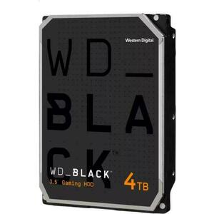 4TB (WD4006FZBX) kép