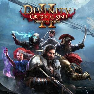 Divinity Original Sin II [Definitive Edition] (PC) kép