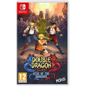 Double Dragon Gaiden Rise of the Dragons (Switch) kép