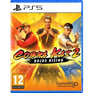 Cobra Kai 2 Dojos Rising (PS5) kép