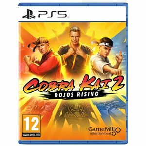 Cobra Kai 2: Dojos Rising - PS5 kép