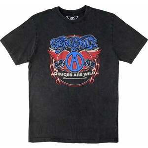 Aerosmith Ing Rainbow Spade Stone Wash Unisex Charcoal Grey L kép