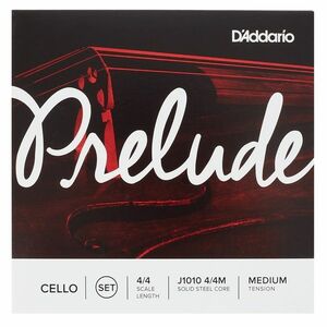 D'Addario Prelude J1010 4/4M kép