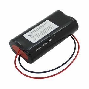 Vészvilágítás akku, Ni-Cd, 4.8V, 2500mAh, L2x2 Baby akkupakk, 20 cm vezetékkel kép