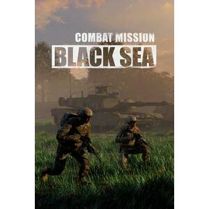 Combat Mission Black Sea (PC) kép