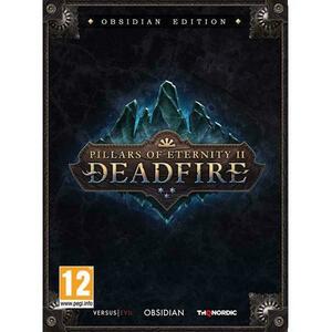 Pillars of Eternity II Deadfire [Obsidian Edition] (PC) kép