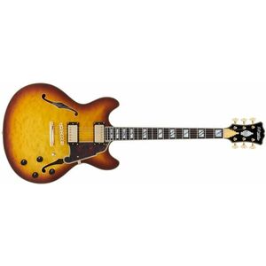 D'Angelico Excel DC XT Iced Tea Burst Quilt kép