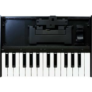 Roland K-25M Bővítő kártya kép