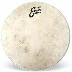 Evans 16" Calftone kép