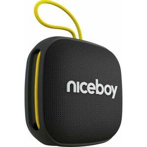 Niceboy RAZE Mini 4 Hordozható hangfal Black kép