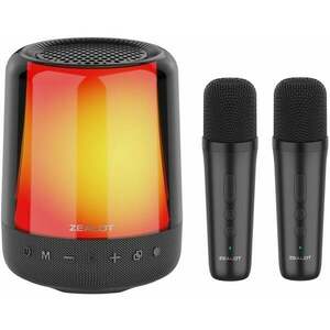 Zealot S66M Karaoke rendszer kép