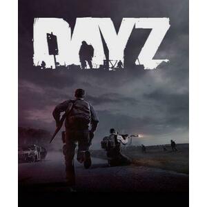 DayZ (PC) kép