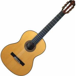 Valencia VC564 4/4 Natural Klasszikus gitár kép