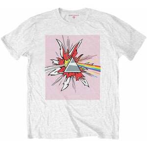 Pink Floyd Ing Lichtenstein Prism Unisex White XL kép