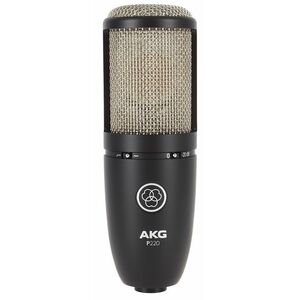 AKG P220 kép