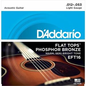 D'Addario EFT16 kép