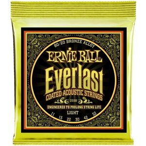 Ernie Ball 2558 Everlast 80/20 Bronze Light kép