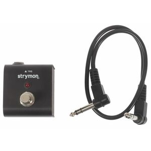 Strymon Flint kép