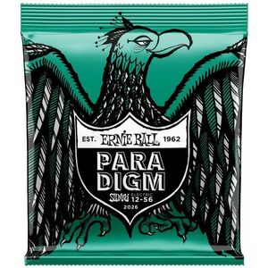 Ernie Ball 2026 Paradigm Not Even Slinky kép