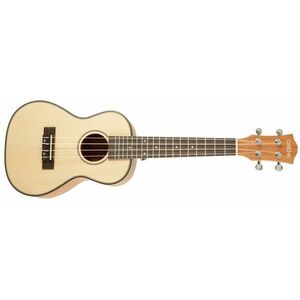 Cascha HH 2151 Concert Mahogany Ukulele Set kép