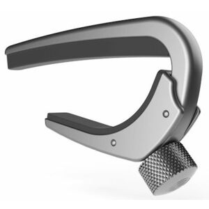 D'Addario PW-CP-02S Pro Capo Silver kép