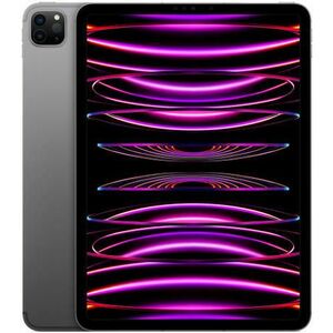 iPad Pro 11 2022 2TB Cellular 5G MNYL3 kép