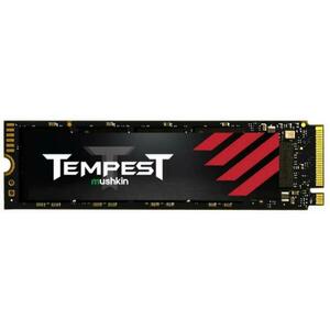 Tempest 1TB M.2 (MKNSSDTS1TB-D8) kép