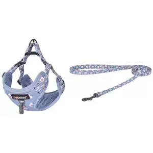 Póráz Dogness walking set leash 1, 5m +harness for dog (light blue) kép