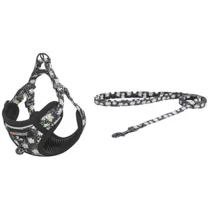 Póráz Dogness Cat set harness and leash 1, 5m (Daisy Black) kép