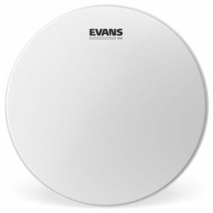 Evans 14" Genera G2 Coated kép