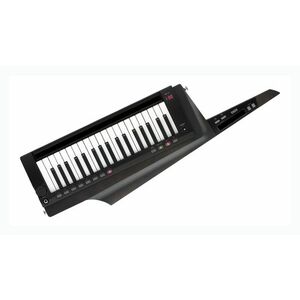 Korg RK-100S2 BK kép