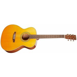 Tanglewood TW40 O AN E kép