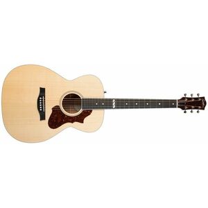 Godin Fairmount Concert Hall Natural HG EQ kép