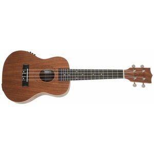 Tanglewood TWT 3 E kép