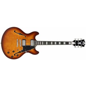 D'Angelico Premier DC Double Cutaway Stop-Bar Tailpie CE Dark ICEd Tea kép