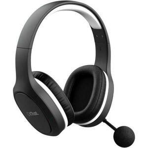 GXT 391 Thian (24502) kép