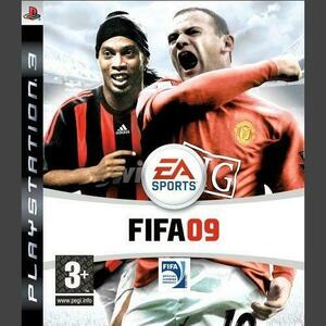 FIFA 09 (PC) kép