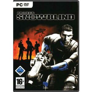 Project Snowblind (PC) kép