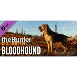 theHunter Call of the Wild Bloodhound DLC (PC) kép